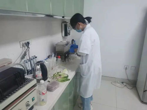 四大農(nóng)貿(mào)市場(chǎng)抽檢結(jié)果公布，36批次食用農(nóng)產(chǎn)品安全有保障